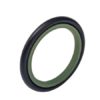 Wiper seal DSI 5